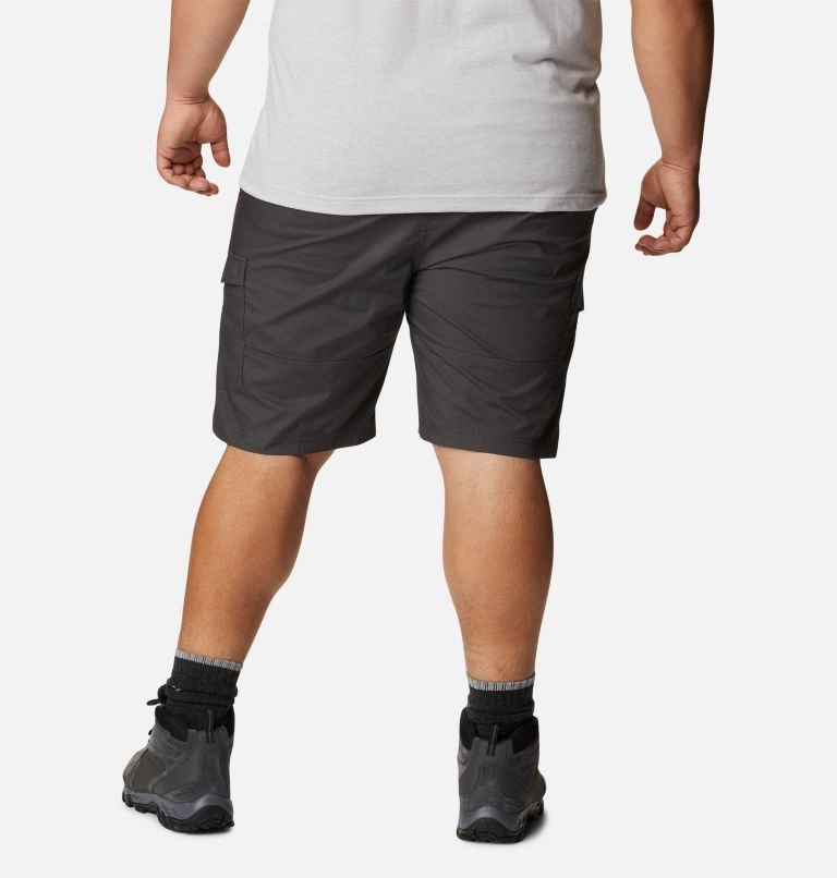 Men's Columbia Brentyn Trail Cargo Shorts Black | Plus Size CA-F6L0A